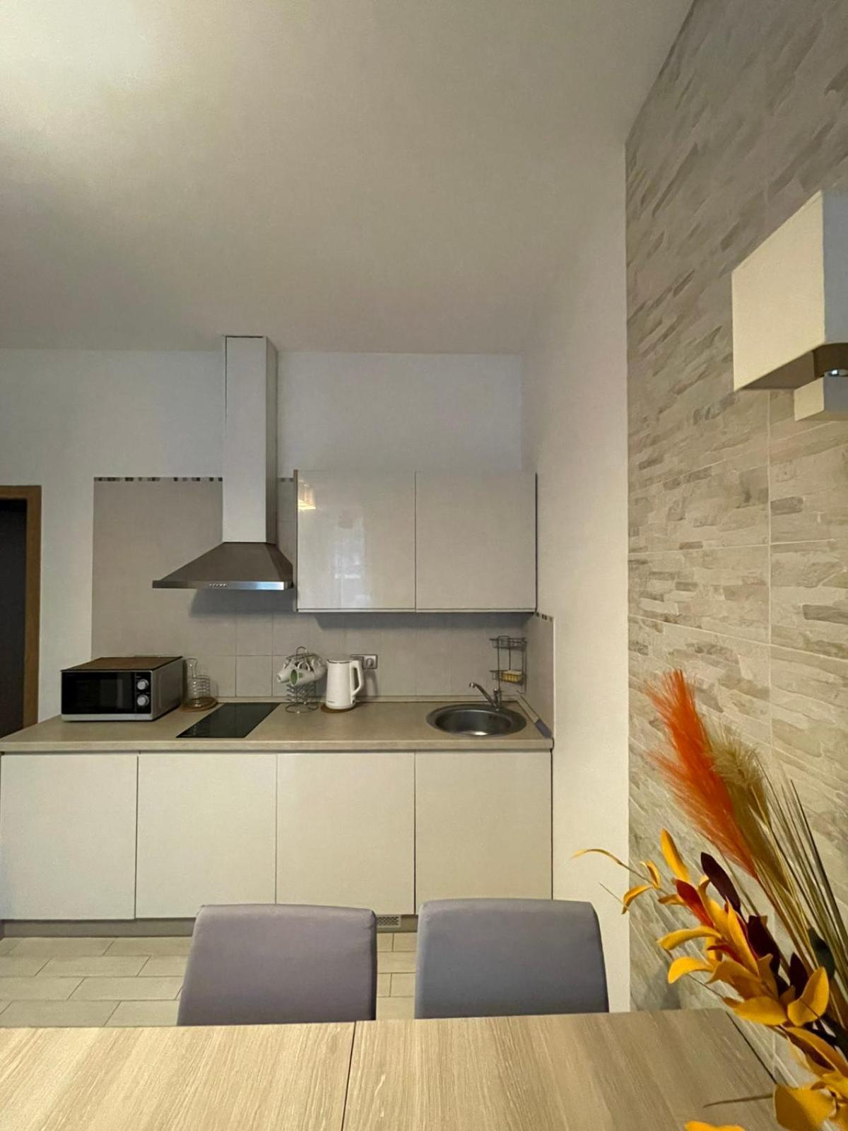 Taikos Apartmentai 2 Ντρουσκινινκάι Εξωτερικό φωτογραφία